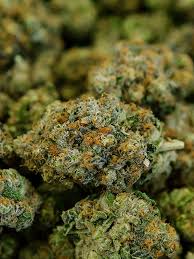 Runtz is a rare sativa dominant strain to find. White Runtz Anesia Seeds