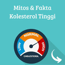 Mitos Dan Fakta Kolesterol Tinggi Music Record Music Info