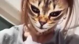 Sahibini Maskeli Goren Kedi Youtube Video Izle Indir