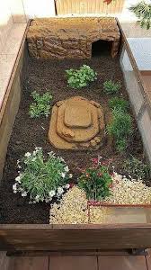 Pin De Mijane Em Home Habitat De Uma Tartaruga Terrario Para Jabuti Casa Tartaruga