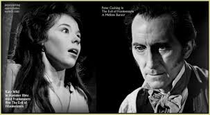 PETERCUSHINGBLOG.BLOGSPOT.COM (PCASUK): THAT FEMININE TOUCH : WOMEN IN  GOTHIC : HAZEL COURT AND VALERIE GAUNT BY BRUCE G HALLENBECK