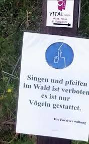 Pin Auf Funny