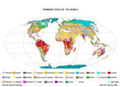 World Reference Base | FAO SOILS PORTAL | Food and Agriculture ...
