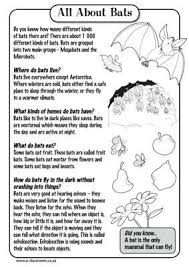 Members Only First Grade Science Bat Lessons Halloween Preschool
