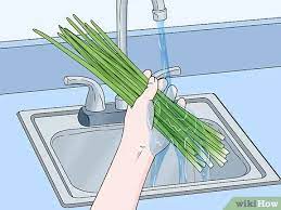 Store chives at room temperature in an airtight container or bag, and use within 2 years. 3 Ways To Dry Chives Wikihow