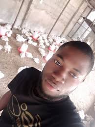 Rules of Breeding. 1. Produce the Quality Bird always ❤️ 2. Learn and  Follow The Standards of Bird 👍 3. Balance Demand and Supply 💯 Have a good  day 😊