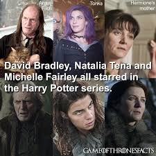 Pin By Store Tv Shows On Game Of Thrones Facts Game Of Thrones Facts Michelle Fairley Natalia Tena