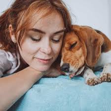 Life Without Barriersの45 Nightfalls Symphony for Dreamersからの楽曲Special  RestをAmazon Musicで