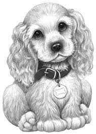 Free cocker spaniel animal printable coloring pages download. Long Haired Pup Dog Coloring Page Grayscale Coloring Animal Drawings