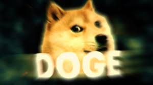 Windoge 10 logo, microsoft windows, windows 10, memes, text, colored background. Doge 1080x1080 New Doge The Dog On Twitter A Very Familiar Look Doge Wow For You Left Of The Hudson