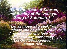Image result for images jesus rose of sharon