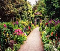 Pin By Stephanie Mcgowan On Ireland Irish Garden Beautiful Gardens Flower Garden Design