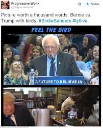 Bernie Sanders Rally In Portland Interrupted As Bird Lands On His Podium Daily Mail Online