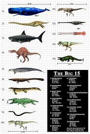 The World S Largest Predators Ever Prehistoric Animals Extinct Animals Prehistoric Dinosaurs