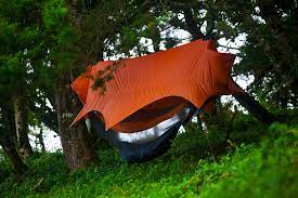I bought this rain fly on my way to a backpacking trip. Tree Tent Wikipedia