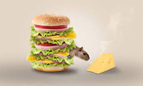 Food contamination in addition to controlling food temperatures all commercial cooking facilities generate fats, oil, and grease. Pest Control Regulations For Restaurants 9 Tips To Avoid Problems