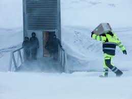 The vault cannabis seed store: Our Operations Svalbard Global Seed Vault