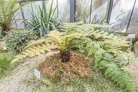 Botanischer garten marburg moskau, siehe alter botanischer garten moskau münchen, siehe alter botanischer garten münchen tübingen siehe alter botanischer des botanischen gartens tübingen neuer botanischer garten auf tüpedia alter botanischer garten auf tüpedia besucherinformation botanischer garten tübingen arzneibuch dab enthalten. Botanischer Garten Tubingen Fotos Botanischer Garten