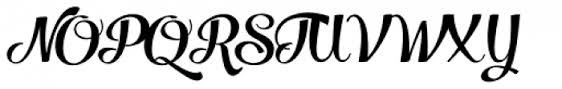Download free salamander script fonts for windows and mac. Salamander Script Bold Font What Font Is
