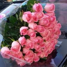 Beautiful glamorous happy birthday flowers images. Fashion Glamour Style Luxury Beautiful Rose Flowers Flowers Very Beautiful Flowers