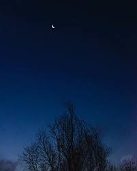 Check spelling or type a new query. Sky Tree Blue Night Trees Moon Down Cloud Nature Clouds Sunset Bluesky Darkness Moonlight Landscape Photograph Photography Photographer Photo