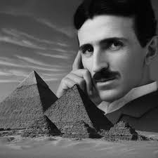 A woman standing next to a Redwood tree, 1950s