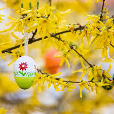 Wann ist ostern in diesem jahr? Corona Regeln Fur Ostern In Niedersachsen Was Erlaubt Ist Und Wohin Ausfluge Moglich Sind
