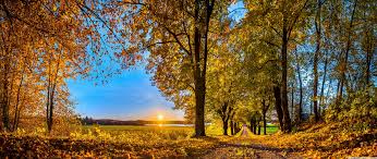 Maybe you would like to learn more about one of these? Ultra Wide Autumn Wallpapers Wallpaper Cave