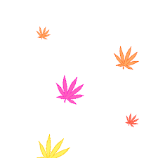 We regularly add new gif animations about and. Autumn Leaves Sticker By Giphy Cam For Ios Android Giphy