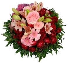 Maybe you would like to learn more about one of these? Ava Ivory Coast Interflora Eesti Flower Delivery