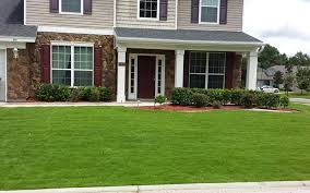 Zoysia grass is probably wonderful, if you live in an area where it is warm year round. Emerald Zoysia Lawn Maintenance