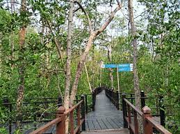 Cape in pontian, johor, malaysia. Tanjung Piai National Park A Crowd Puller The Star