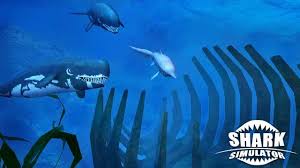 Free download shark simulator apk android Shark Simulator Apk 1 2 Download For Android Download Shark Simulator Apk Latest Version Apkfab Com