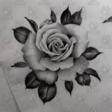 Pin By Theresa Cheng On Rose Realistic Rose Tattoo Tattoos Realistic Rose