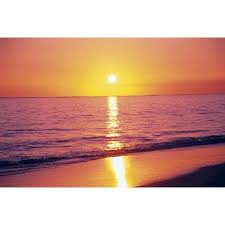 This little project has been in the works for about 6 months before the finish product turned up on the doorstep for sea bones and we're pretty. Orange Pink Sunset Sky With Sun Ball Reflection On Ocean Waters And Shoreline C1712 Posterprint Walmart Com Walmart Com