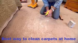 The Best 15 Pics Of Best Way To Clean Carpets At Home And Description In 2020 How To Clean Carpet Spot Cleaning Carpet Diy Carpet Cleaning Solution