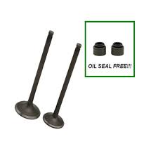1pair Intake Exhaust Valve Kit Valve Stem Seals For Suzuki Dr200 Df200 Dr 200 Df Van Van 200 Rv200z Van200 Motorcycle Engine Motorcycle Accessories Box Frames