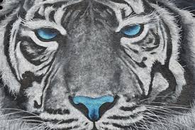 Aplikasi dari gambar grafiti menggunakan peralatan sederhana namun memiliki nilai seni yang tinggi. Gambar Gratis Hitam Dan Putih Kreativitas Grafiti Gambar Wajah Harimau Putih 1200x800 Download Hd Wallpaper Wallpapertip