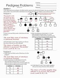 When you make a new pedigree chart, the shapes in the chart will often be some kind of rectangles. Bio Worksheet Pedigree Analysis Genetics Resource Plans Mendelian Gsagency Co