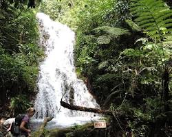 Image of Waterfalls in Bwindi Impenetrable National Park