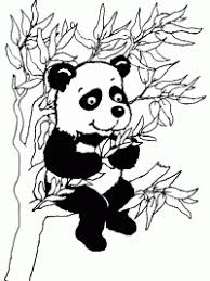 768 x 1024 gif pixel. Pandabeer Kleurplaten Topkleurplaat Nl