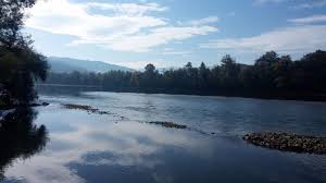 Krupniji primjerci mladice obitavaju u većim dubokim virovima sa skrovitim mjestima pod obalom ili stijenama. Pin On Places To Visit For Fishing