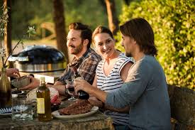 Ciocolată și un pahar de vin? Ce Vin Asociem Fripturilor La Gratar