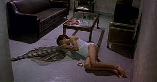洞 the hole 1998 taiwan my rating 8 9 director 蔡明亮 sundance film festival tsai ming liang independent movies