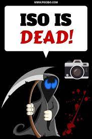 Iso In Photography Fake Or The Real Deal Iso Photography Dslr Photography Tips Learning Photography