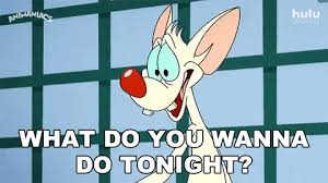 Pinky And The Brain Gifs Get The Best Gif On Giphy