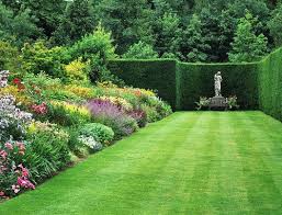 By now you already know that, whatever you are looking for, you're sure to find it on aliexpress. Don T Fence Me In Hedges In The Landscape Canadale Garden Centre St Thomas Nursery London