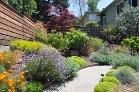 Pin On Outdoor Spaces Plants