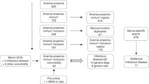 The usual causes in cats are myoplasma haemofelis infection (see above) and feline leukaemia. Acvim Consensus Statement On The Diagnosis Of Immune Mediated Hemolytic Anemia In Dogs And Cats Abstract Europe Pmc