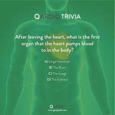From tricky riddles to u.s. 11 Qardio Trivia Ideas Trivia Questions Trivia Heart Health